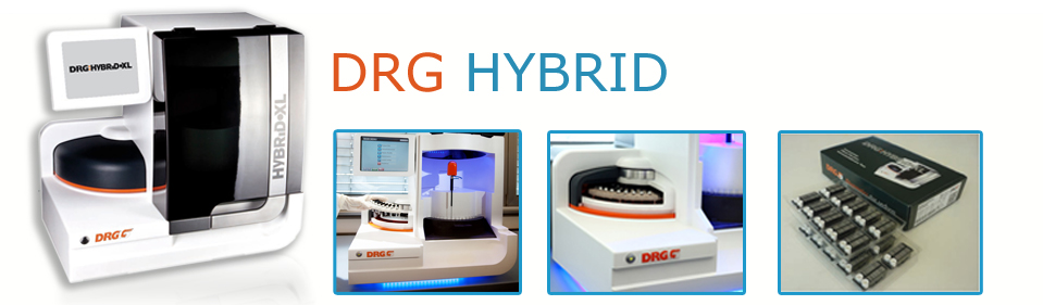Hybrid-XL